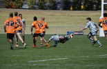 2014 Reserve Grade Grand Final