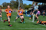 2014 Reserve Grade Grand Final