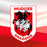 Round 6 club logo